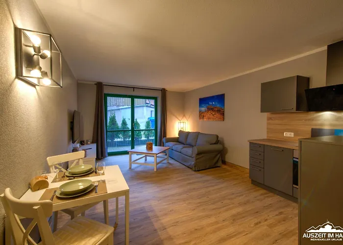 Auszeit-Im-Harz Haus 5 Wohnung 12
